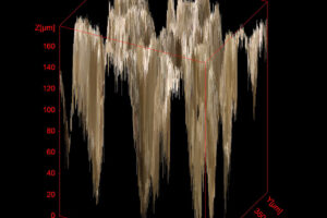 Patologie hydroizolačních materiálů (nejen fóliových) 2