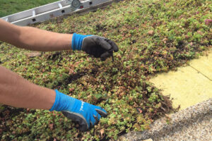 Hydrofilní desky ISOVER pro vegetační střechy