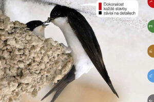 Nový katalog HPI-CZ představuje inovace v oblasti stavebního příslušenství