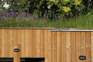 Dům s mokřadní střechou