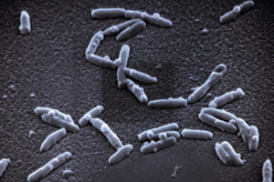 Rozvody vody s lisovanými spoji od firmy Viega chrání proti Legionelle