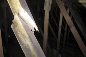 Praktické příklady sanace dřevěných střešních konstrukcí