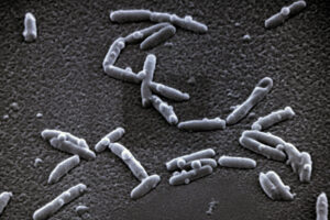 Měď a ušlechtilá ocel – nejvhodnější materiály pro vedení pitné vody