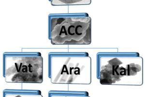 Nanovápno: konsolidační prostředek pro zpevnění povrchů staveb