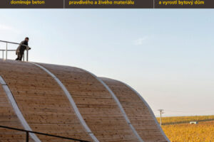 Materiály pro stavbu 7/2020: Hlavním tématem beton a jeho podoby