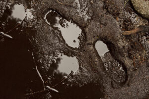 VELUX se zavazuje vymazat svoji historickou uhlíkovou stopu