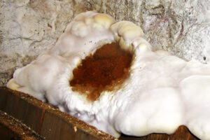 Kontroly a údržba dřevěných krovů