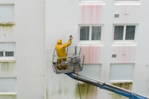 Jak odstranit plíseň z fasády