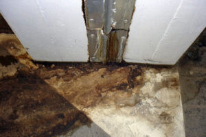 Poruchy vodotěsných izolací spodní stavby a jejich eliminace