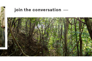 Připojte se k celosvětové konferenci roku: Build For Life Conference