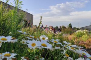 Soutěž Zelená střecha roku 2022 zná vítěze