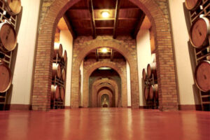 Ve vinařství pěkně od podlahy