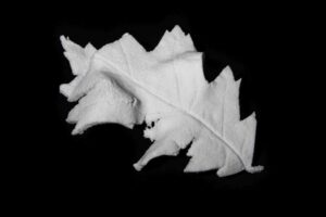 Nový materiál Porous Glass Plasticine – sklokeramická porézní pěna