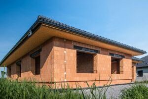 Cihláři jsou na zájem stavebníků připraveni. A co stát?